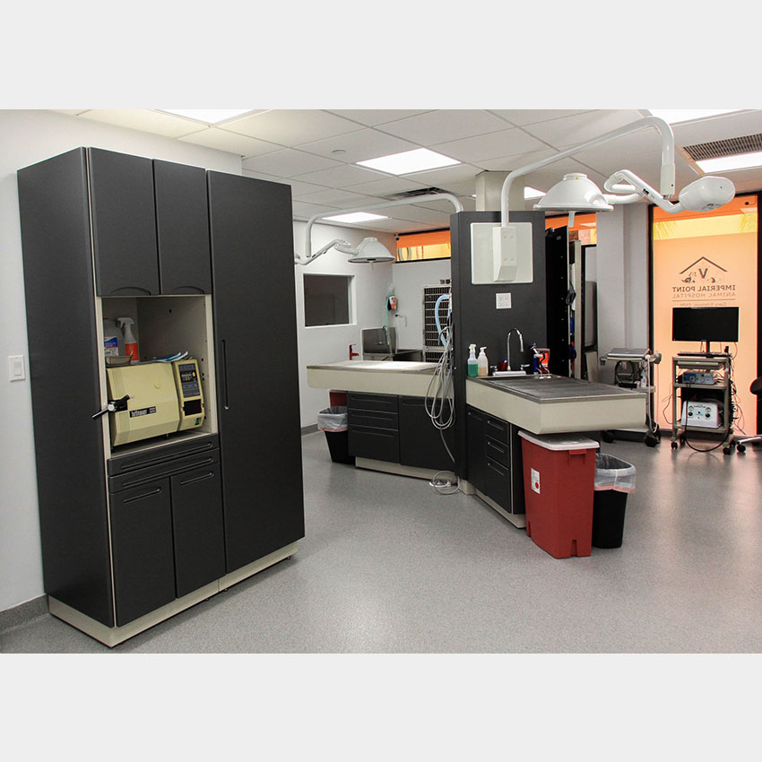 Our Surgical Suite